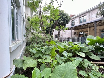 雅宝新城