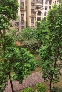 富力金港城