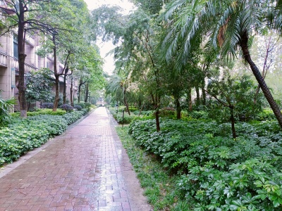 富力金港城