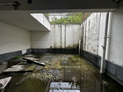 远洋芙蓉墅