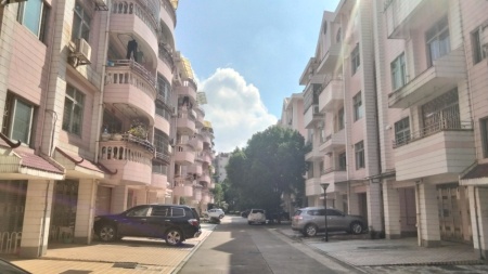 金菊花小区