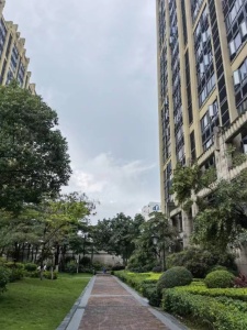 富力金港城