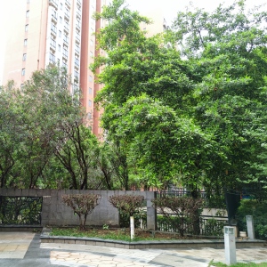 学府花园