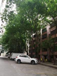 富丽花园(花都)110万元，性价比高