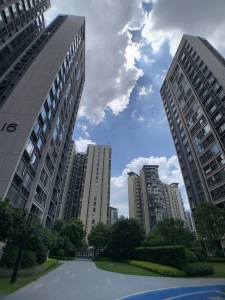 桐悦花园