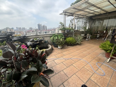 杏林花园