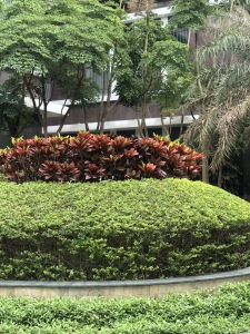 骊雅居
