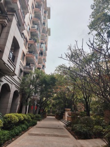 大运家园