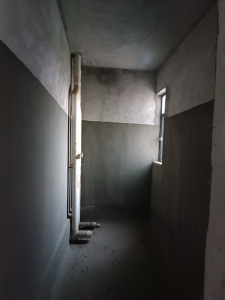 滨湖一号