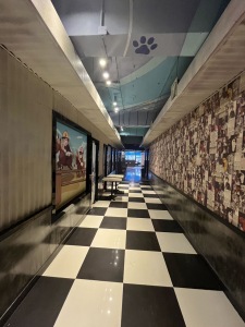 建设北路