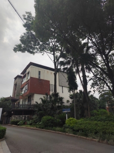 勤天一品树院