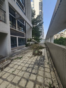 深航花园