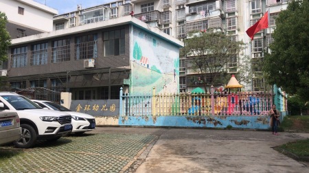 金环星城