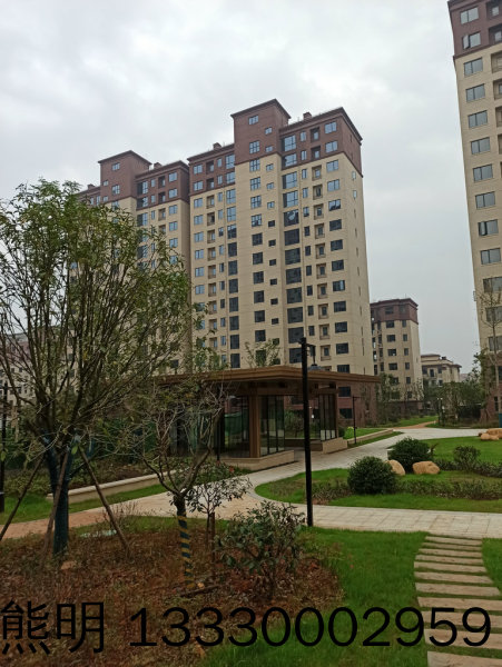 荷塘新城，4房2厅2卫，140.86㎡，毛坯，52万元，新房联网！