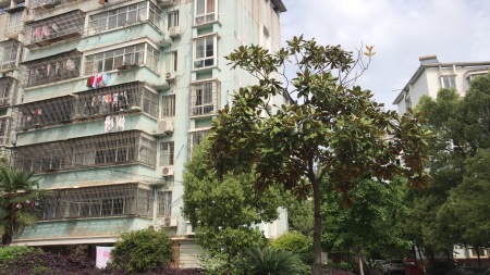 金环星城