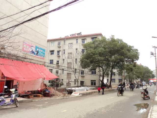 北峰区，3房2厅1卫，普装，600.0元/月，新房联网（独家代理）