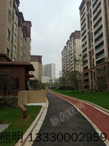 荷塘新城