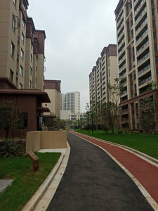 荷塘新城