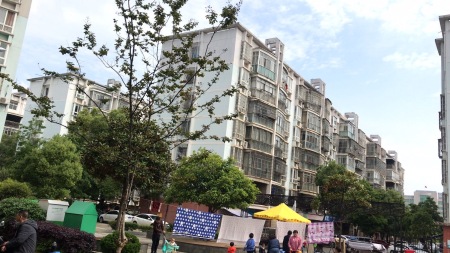 金环星城，3房2厅1卫，123.0㎡，毛坯，46万元，新房联网（独家代理）