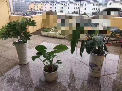 体育馆小区