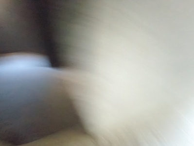 财大雅苑