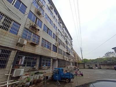 共青城国税局单位房，3房2厅1卫，92.5㎡，普装，25万元，新房联网【独家】