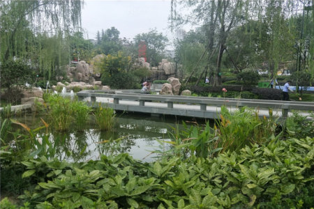 绵阳-兴发孔雀公园-自住-住宅