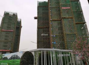 绵阳-置信丽都花园-自住-住宅