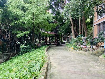 江岸山景