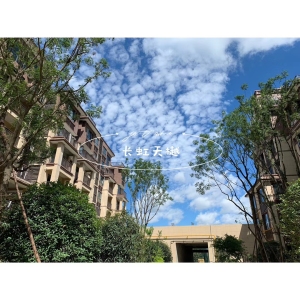 绵阳-长虹天樾-洋房/别墅-自住
