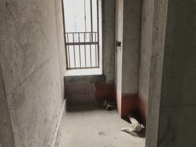 中海龙湾国际