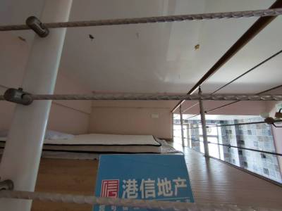 城市绿洲
