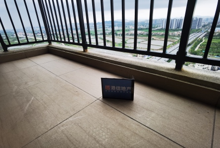 碧桂园天际