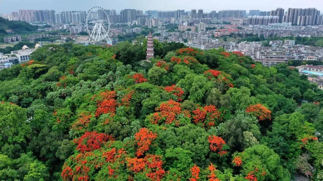 广东重磅文件出炉！多处涉及中山！在打造湾区西岸创新高地上，中山这样做！