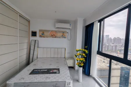 中央城财富街1室1厅1卫南精装真实好房