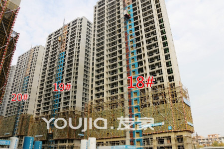 皖新春江明月-骆海燕