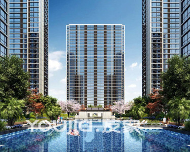 皖新春江明月-骆海燕