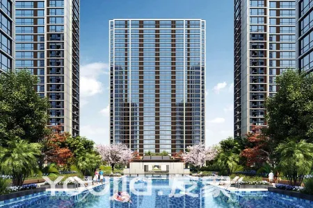 皖新春江明月-骆海燕