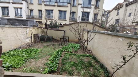伟星蓝山半山墅