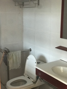 鲁港新镇三期五区