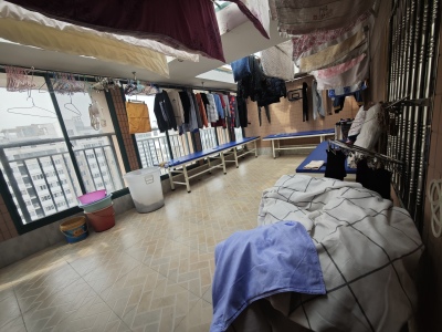 中央花园(花山)