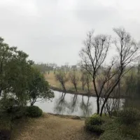 三山碧桂园龙湖上品