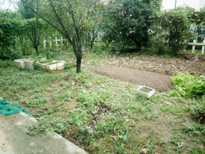 三山碧桂园翠堤春晓