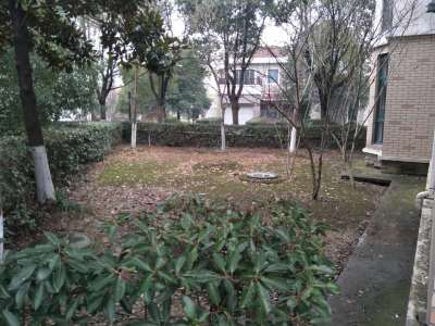 天池圣居