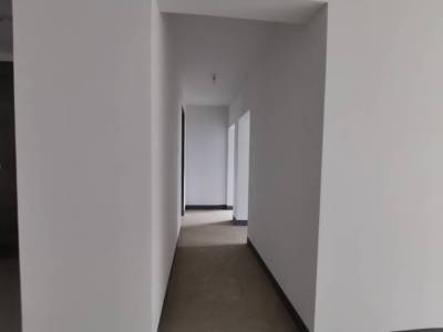 伟星公园大道北峯