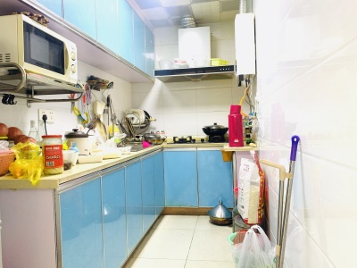 绿地1号地块(绿洲领秀)