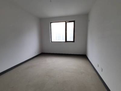 伟星公园大道北峯