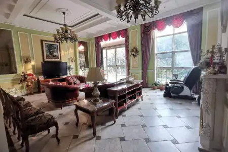  欧式田园风,豪华装修,地铁盘学区房！