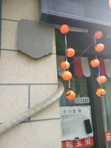 赛纳丽城