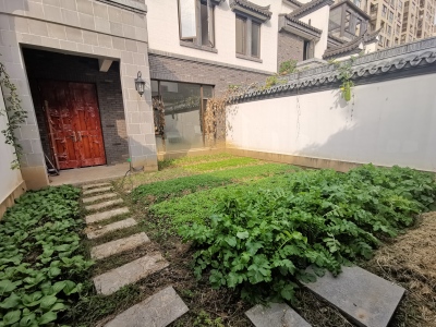 伟星公园大道和院